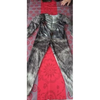 Déguisement loup garou...