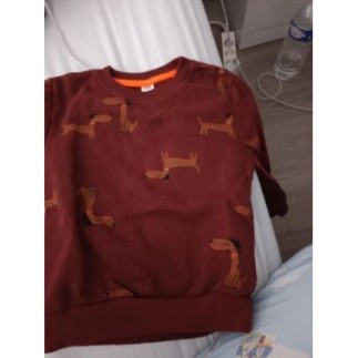 Sweat chien 110/116