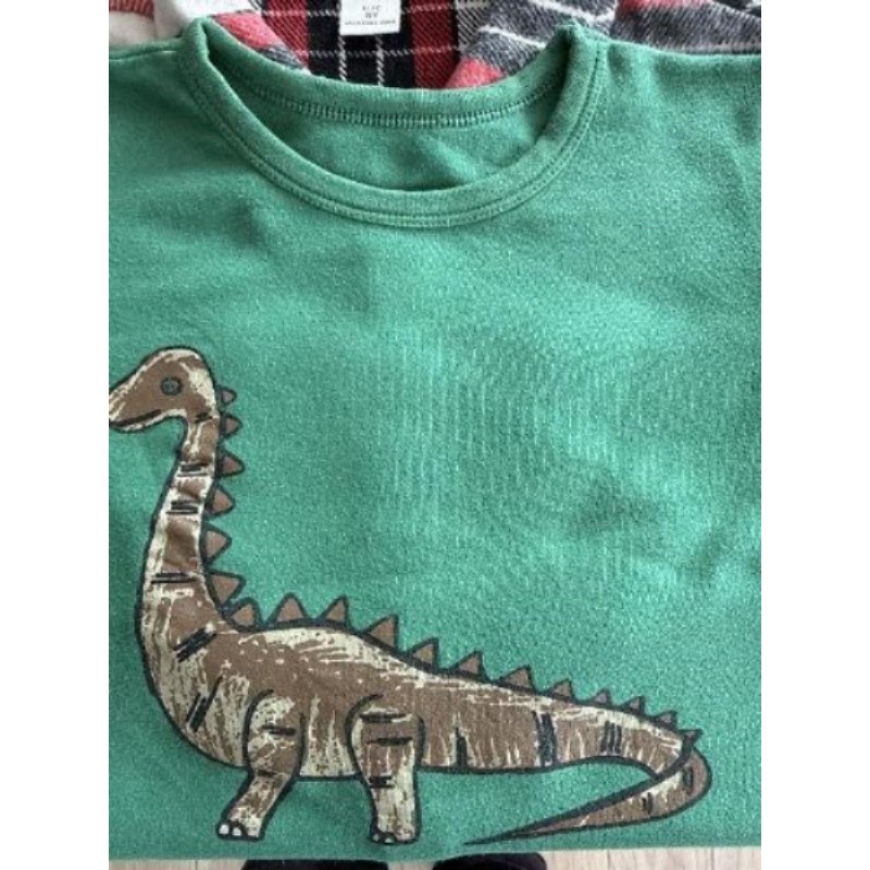 Sweat, dinosaures vert, garçon 5 ans 