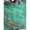 Sweat, dinosaures vert, garçon 5 ans 