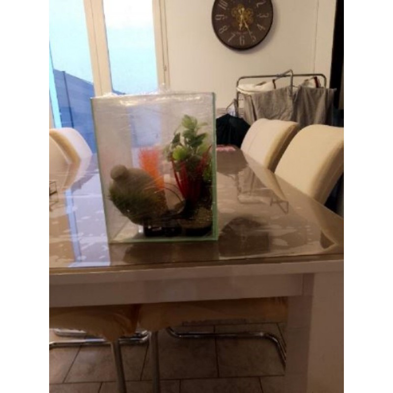 Aquarium petit format avec plein d'accessoires d'aquarium 
