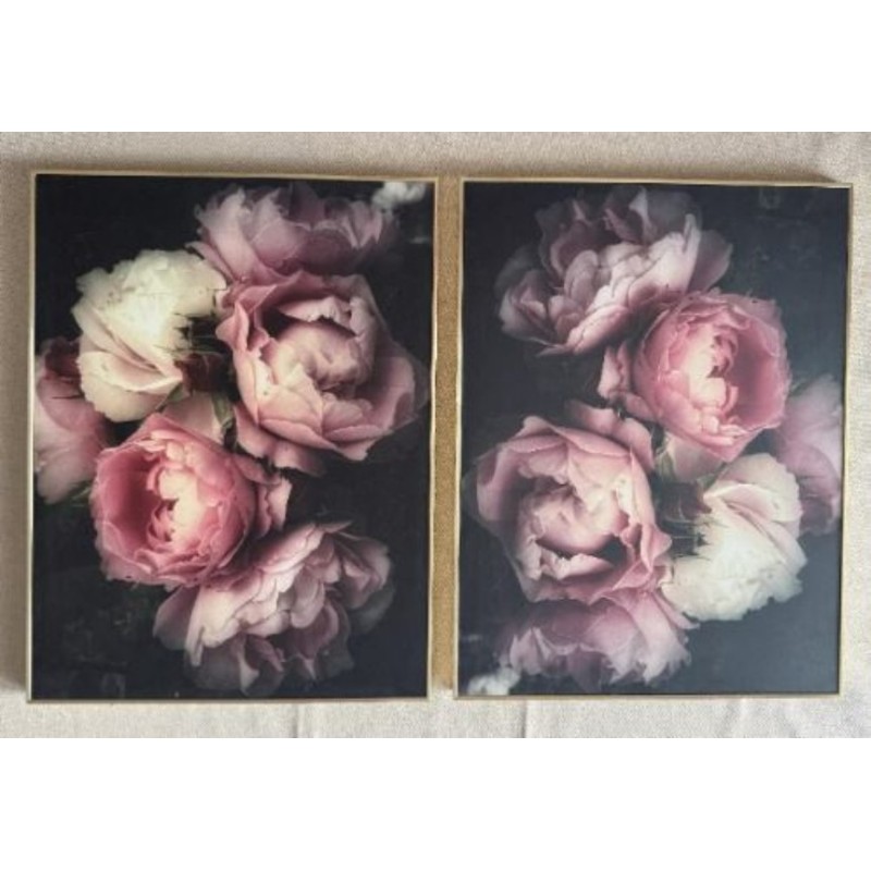 2 Tableaux fleur