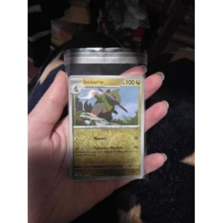 Cartes pokemon 30 communes + 1 reverse