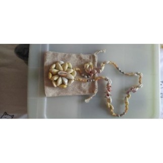 Collier sautoir coquillages