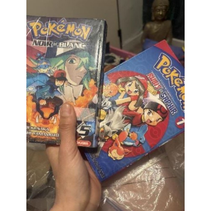 Lot 2 livre de poche Pokémon rubis et noir et blanc 