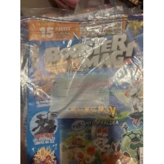 Magasine Pokémon 4 pièces 