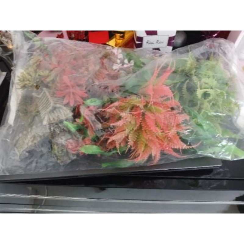 Décoration aquarium 