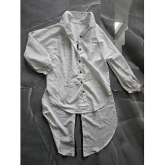 chemise queue de pie...