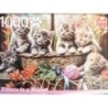 Puzzle chatons neuf 1000 pièces 