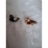 Couple de canards vintage collection