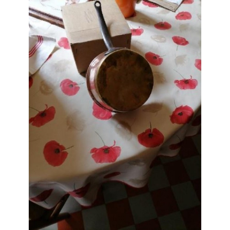 Casserole decorative fond bi metal diametre 14/16