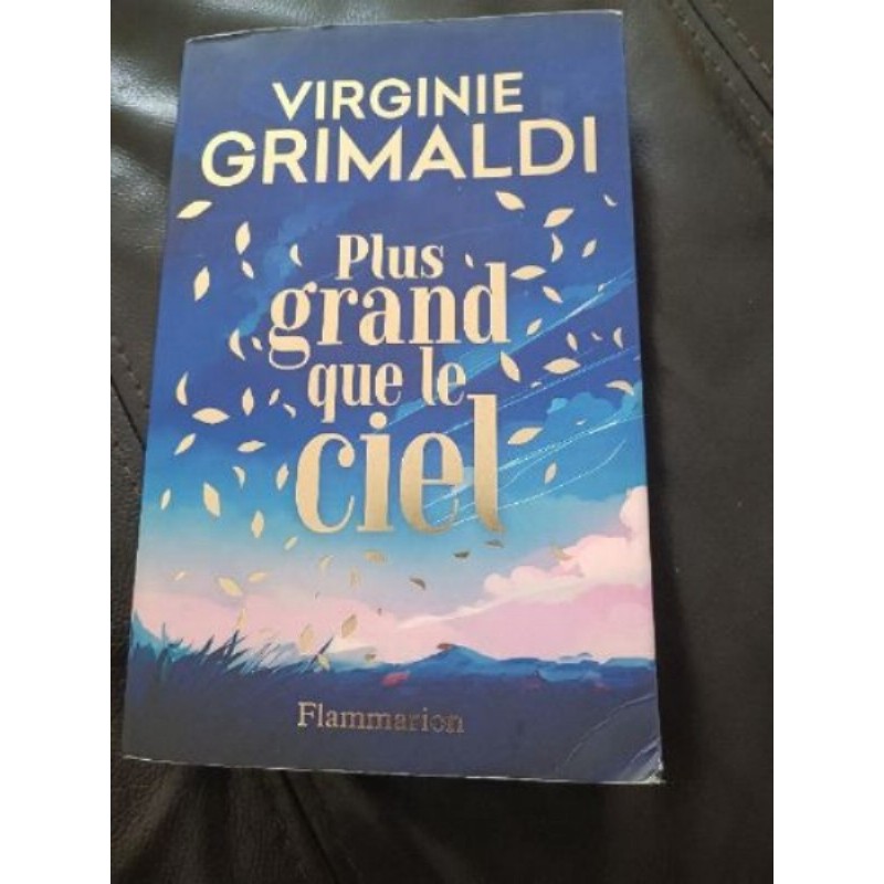Livre Virginie Grimaldi 