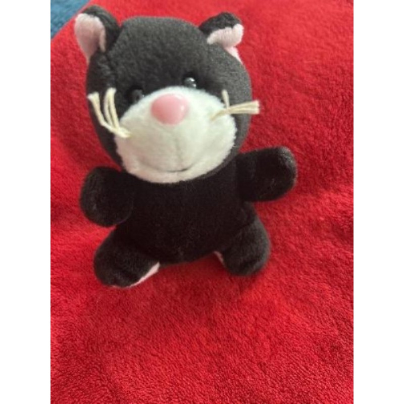 Peluche le chat 