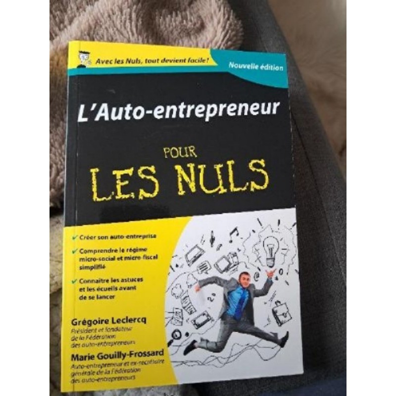 L auto entrepreneur pour les nuls 