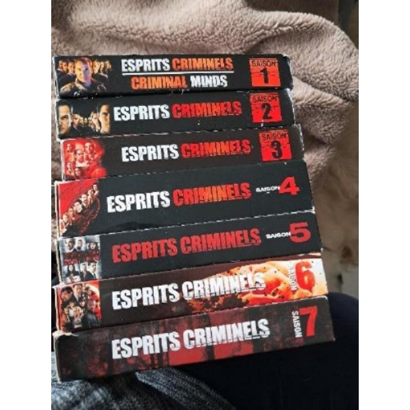 Esprits criminells saison 1 à 7