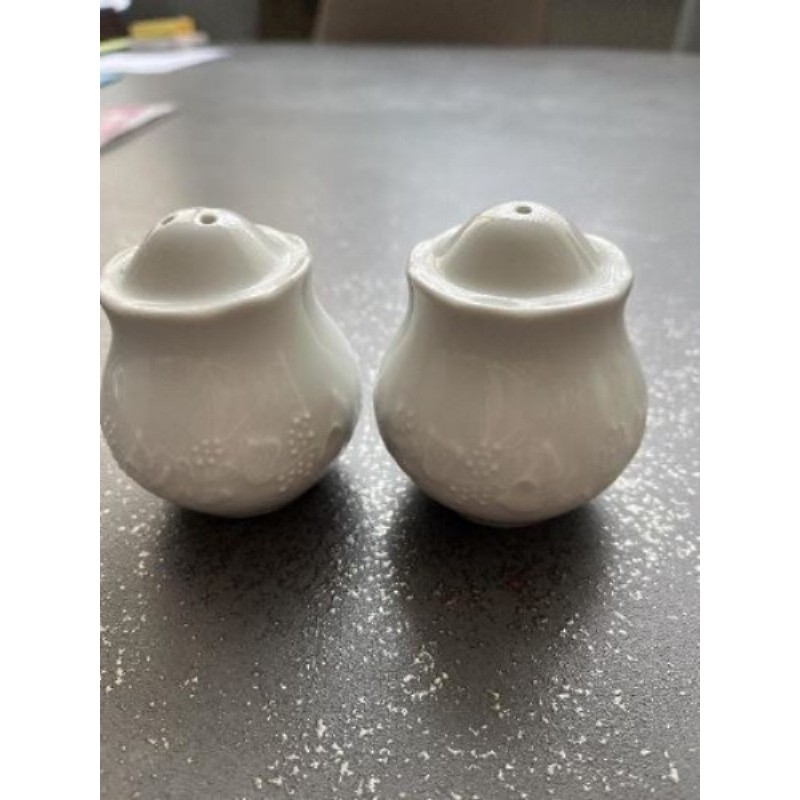 Salière et poivrière porcelaine lierre sauvage 