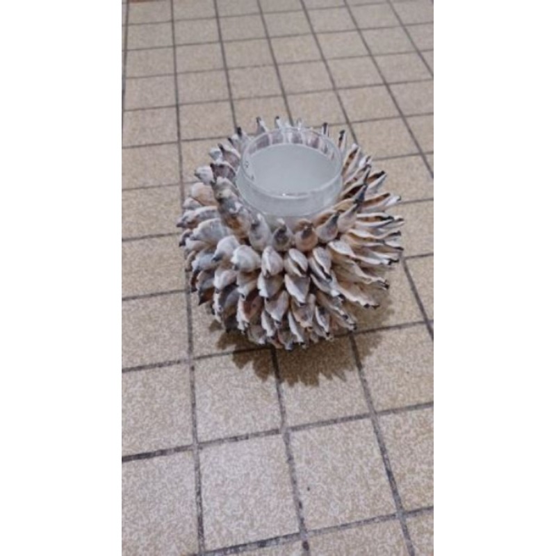 Bougeoir coquillages 