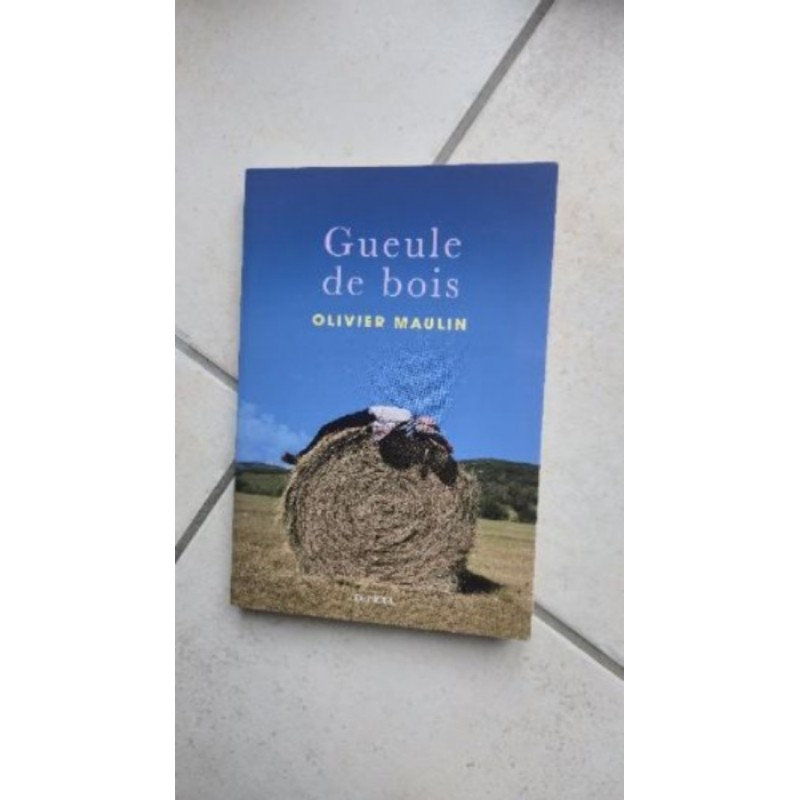 "Gueule de bois" de Olivier Maulin. Roman, très bon état.