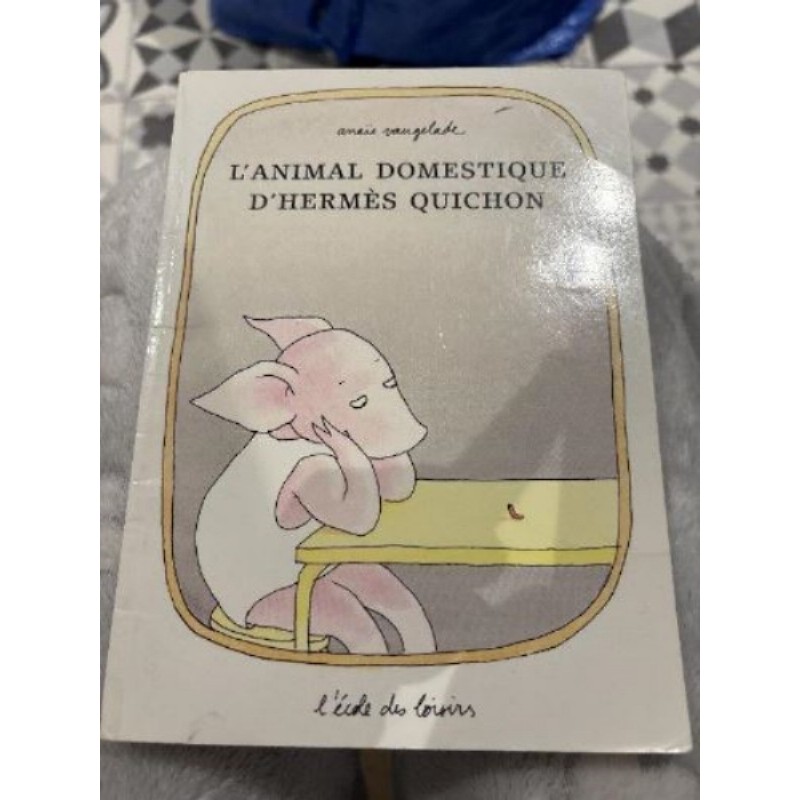 Livre enfant l’animal domestique d’hermes quichon