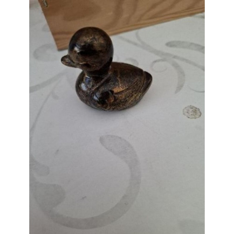 Canard collection laiton