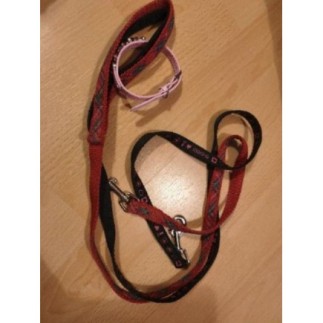 Lot laisses et collier chien 