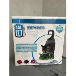 kit herbe à chat neuf