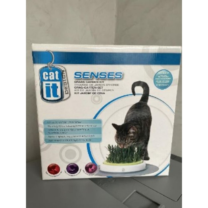 kit herbe à chat neuf