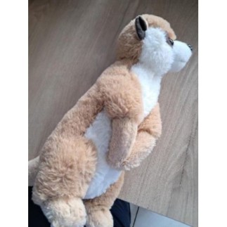 Peluche suricate