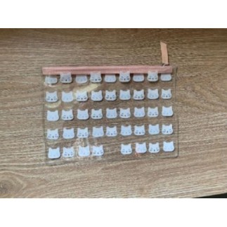 Petite trousse transparente...