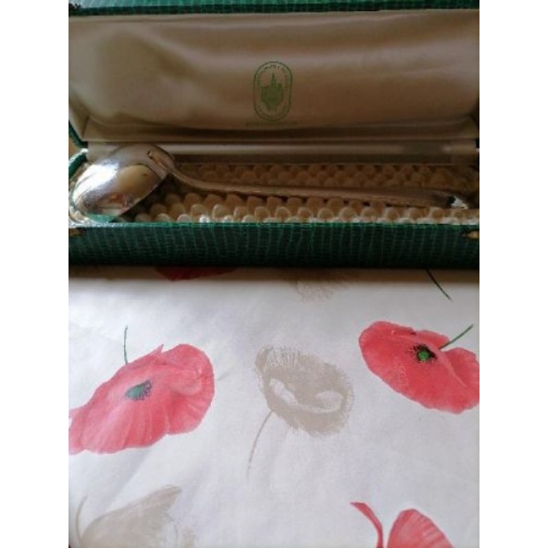 Louche métal argenté dans son coffret 