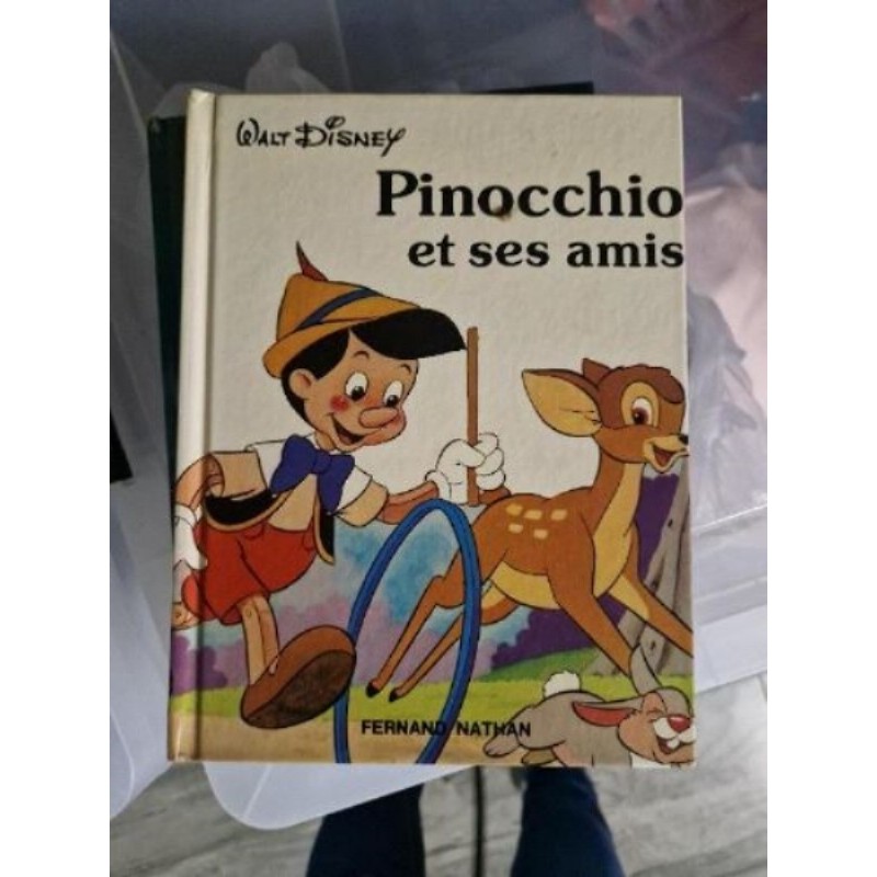 Livre pinocchio 