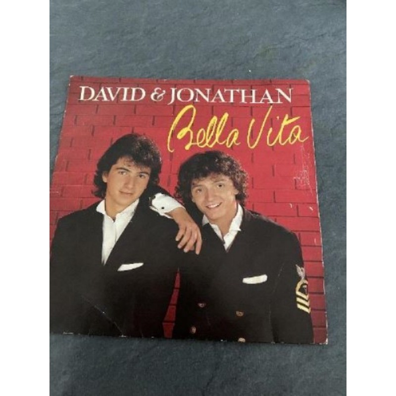 Vinyle David & Jonathan