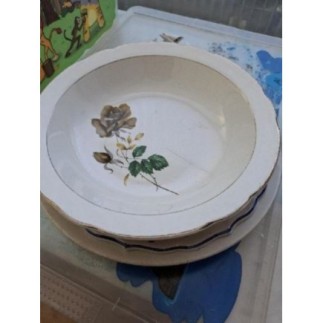 Plat rose