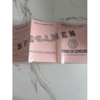 Protection plastique permis 