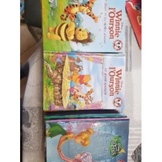 Lot de 13 livres Disney