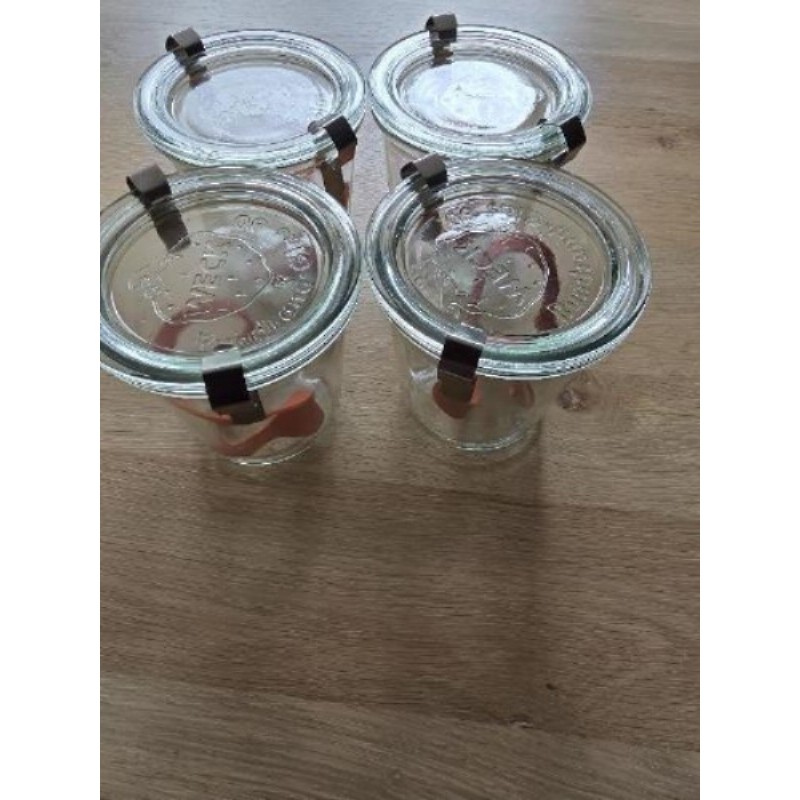 Lot 4 pots conservations