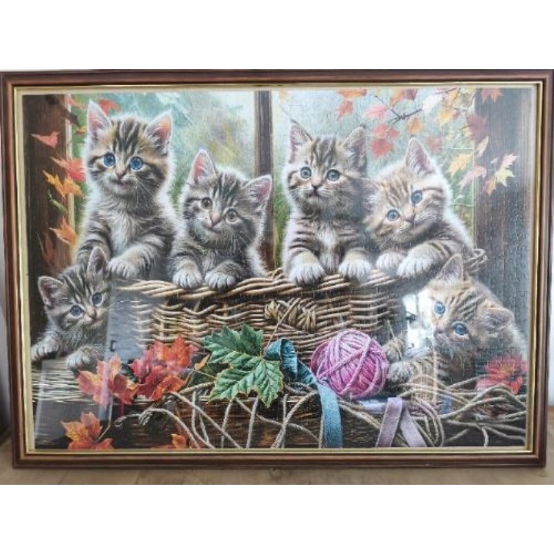Puzzle chatons encadré 