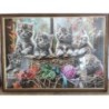 Puzzle chatons encadré 