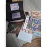Console ds noire avec housse et 2 jeux 