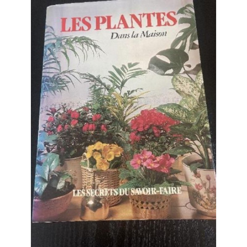 Les plantes dans la maison 