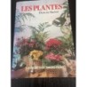 Les plantes dans la maison 