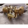 Famille de 3 éléphants 