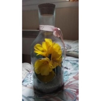 Bouteille pour deco