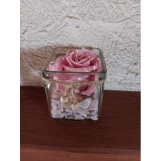 Rose éternelle 