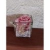 Rose éternelle 