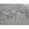 boite en verre papillon