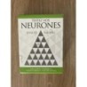 Testez vos neurones (sans le Velleda)