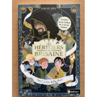 Livre Héritiers de Brisaine