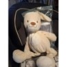 Lapin