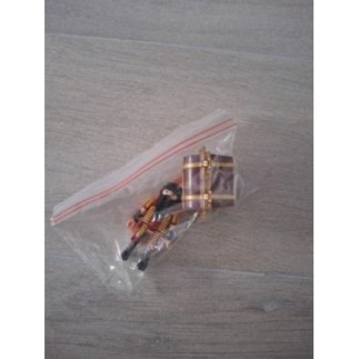 Personnage playmobil + coffre 